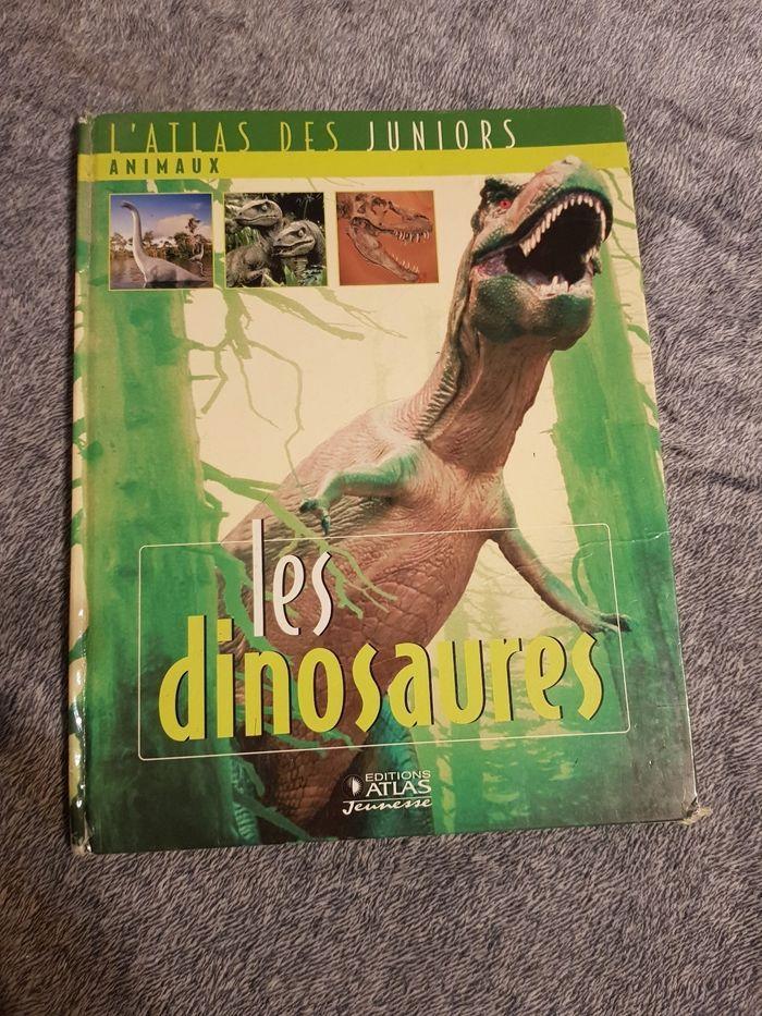 Lot de 5 livre dinosaure - photo numéro 1