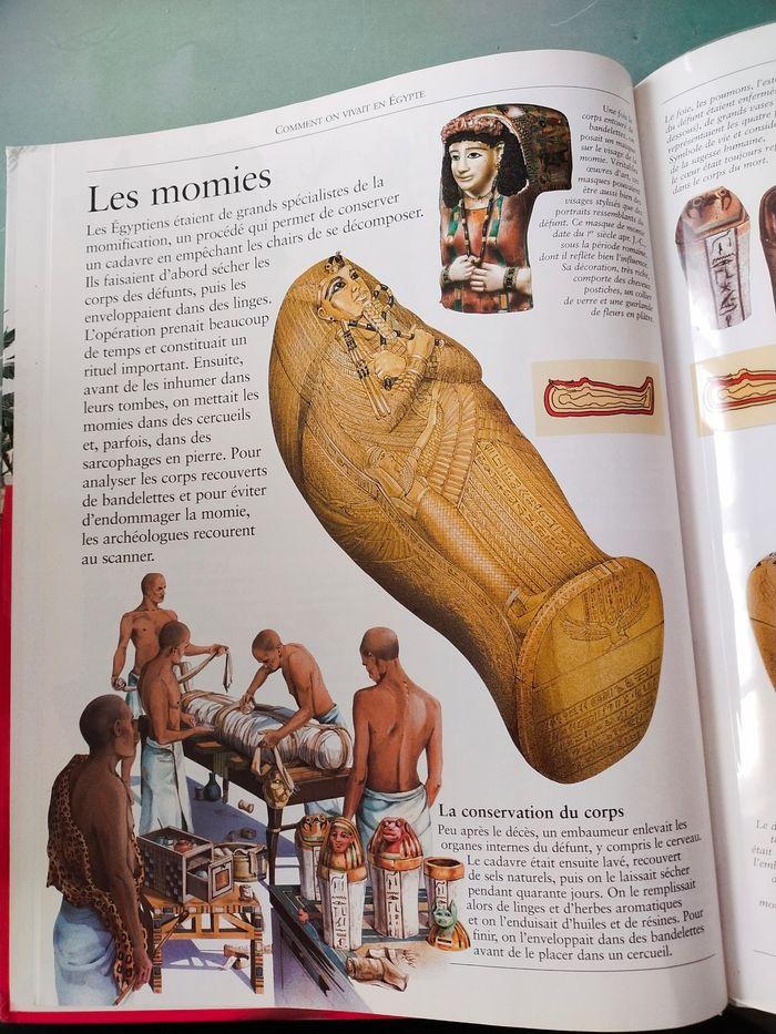 Comment on vivait en Egypte - photo numéro 3