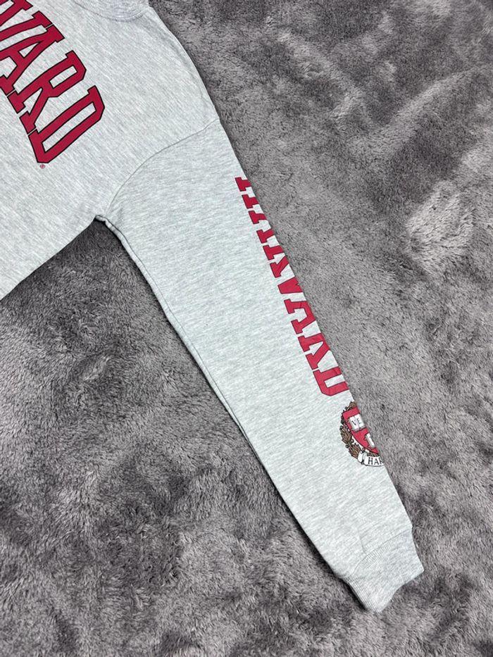 👕 Sweat à capuche Veste University Rare Vintage y2k 90s 2000s Harvard Gris Taille S 👕 - photo numéro 9