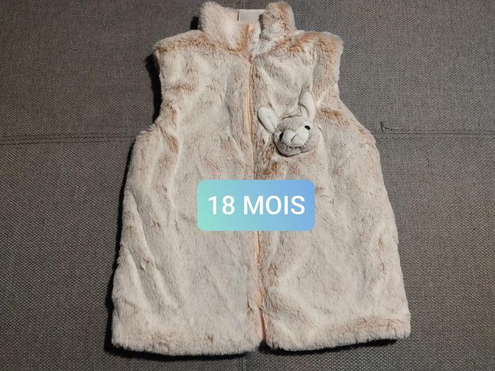 Manteau hiver sans manche - photo numéro 1