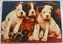 Puzzle chiens – 99 pièces