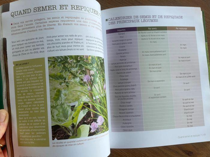 Le petit traité du potager d’en carré - photo numéro 3