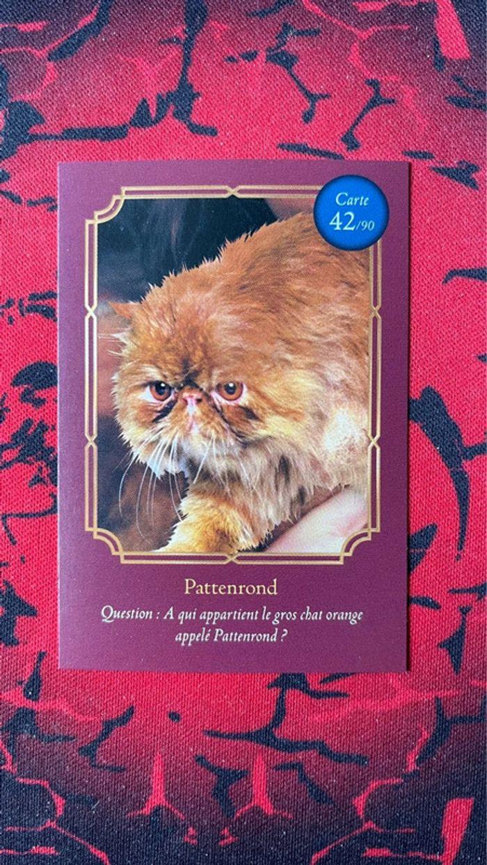 Carte Harry Potter Auchan - Pattenrond