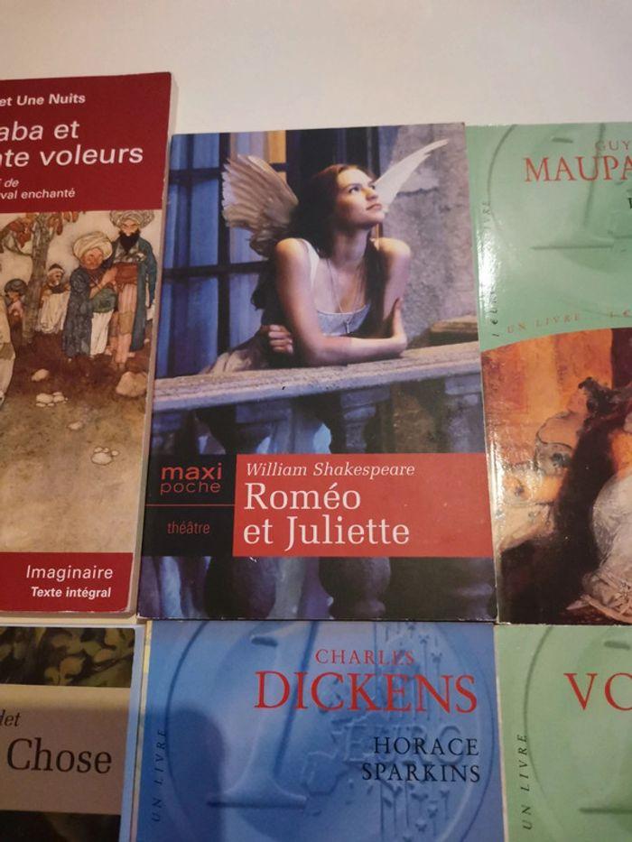 Lot de 6 livres classiques - photo numéro 3