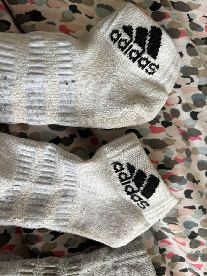 Chaussettes adidas - photo numéro 7