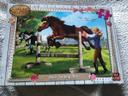 #Puzzle #99 pièces #cheval