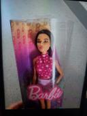 Barbie fashionistas