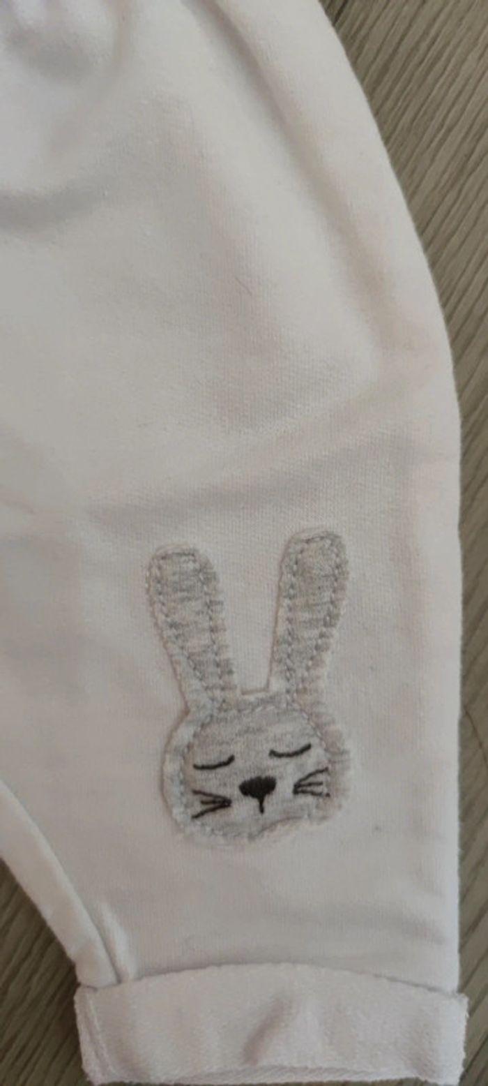 Pantalon naissance lapin - photo numéro 2