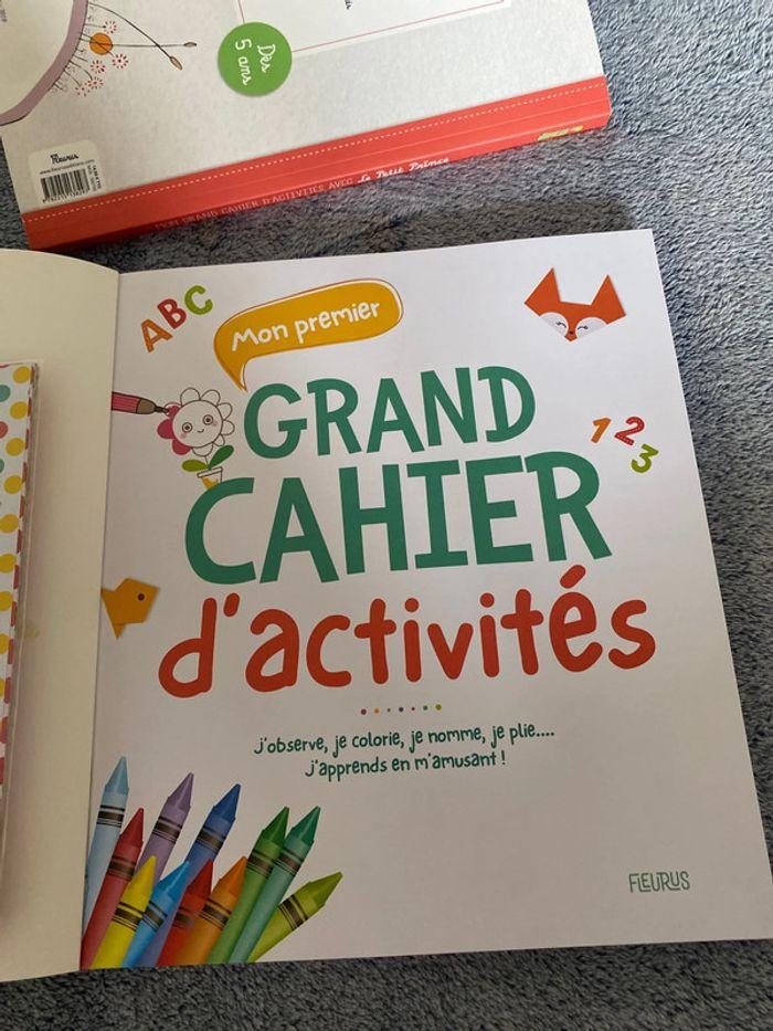 Livre Mon grand cahier d’activité des 3 ans - Neuf - photo numéro 3