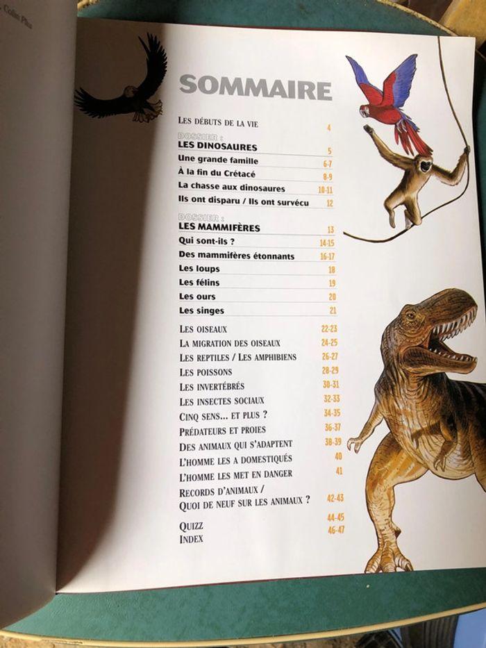 Livre Dokéo animaux pour les 9:12 ans - photo numéro 7