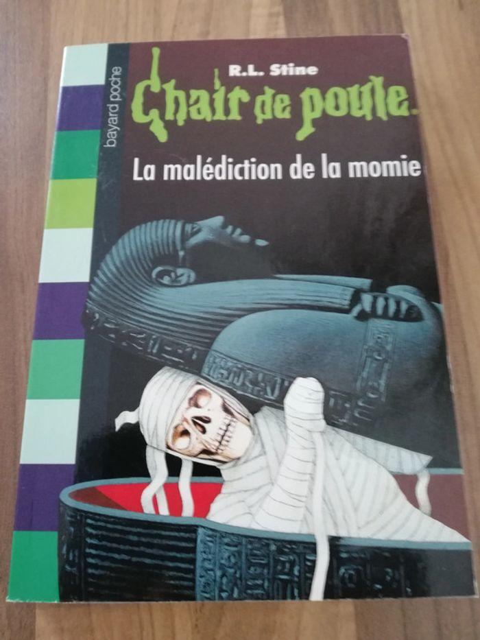 Chair de poule tome 1 - photo numéro 1