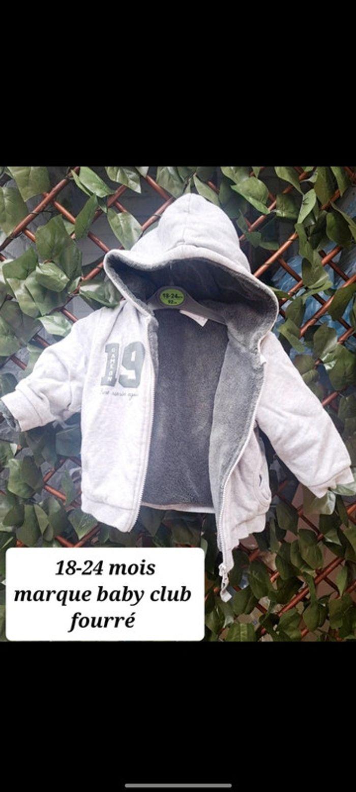 Lot de 4 gilets - photo numéro 5