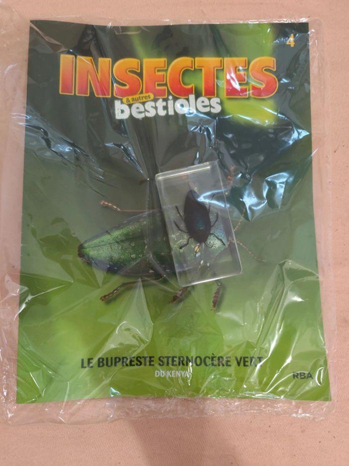 Insectes et autres bestioles n° 1.2.3.4.5.6.7 - photo numéro 4