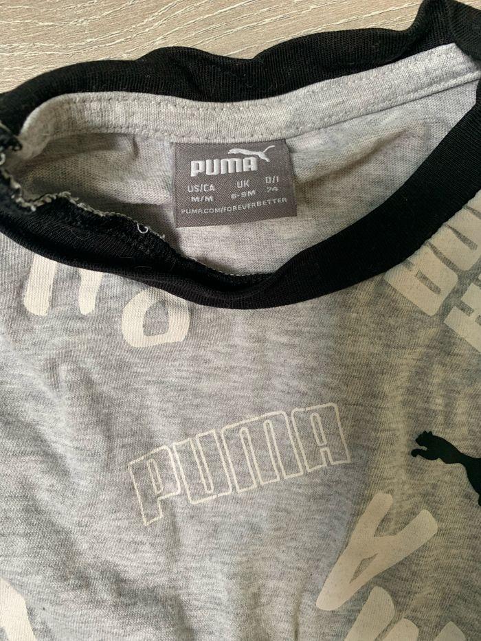 Ensemble puma - photo numéro 3