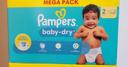 Couche Pampers