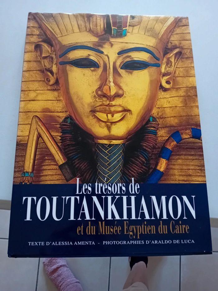 Livre egypte - photo numéro 1