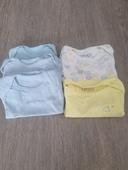 Lot de 5 bodys taille 12mois  manche courtes