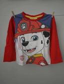 Tee-shirt 3 ans Orchestra Paw Patrol