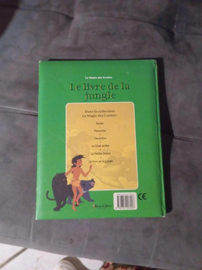 Livre du livre de la jungle - photo numéro 3