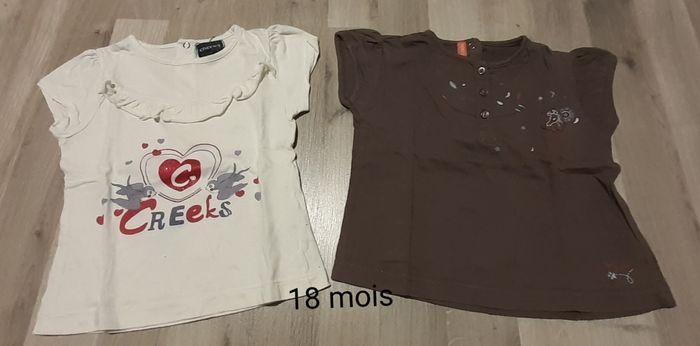 Lot 2 tee-shirts fille