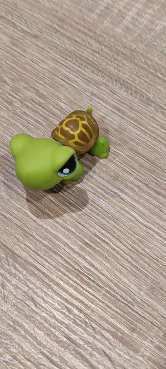 Tortue Littlest Pet Shop - photo numéro 3