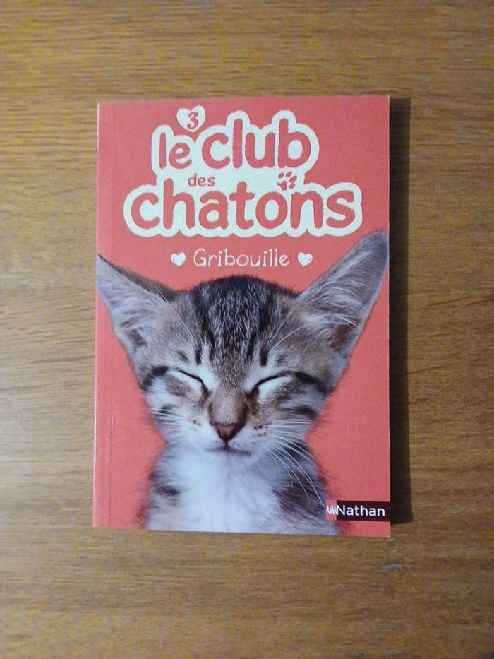 Lot le club des chatons - photo numéro 4