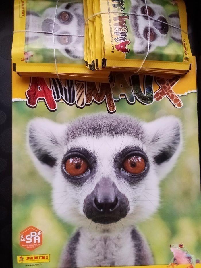 Lot Panini Animaux 2020 - Lot Album vide et 50 pochettes scellées - photo numéro 1