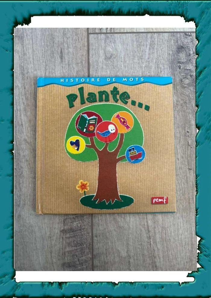 Plante - photo numéro 1