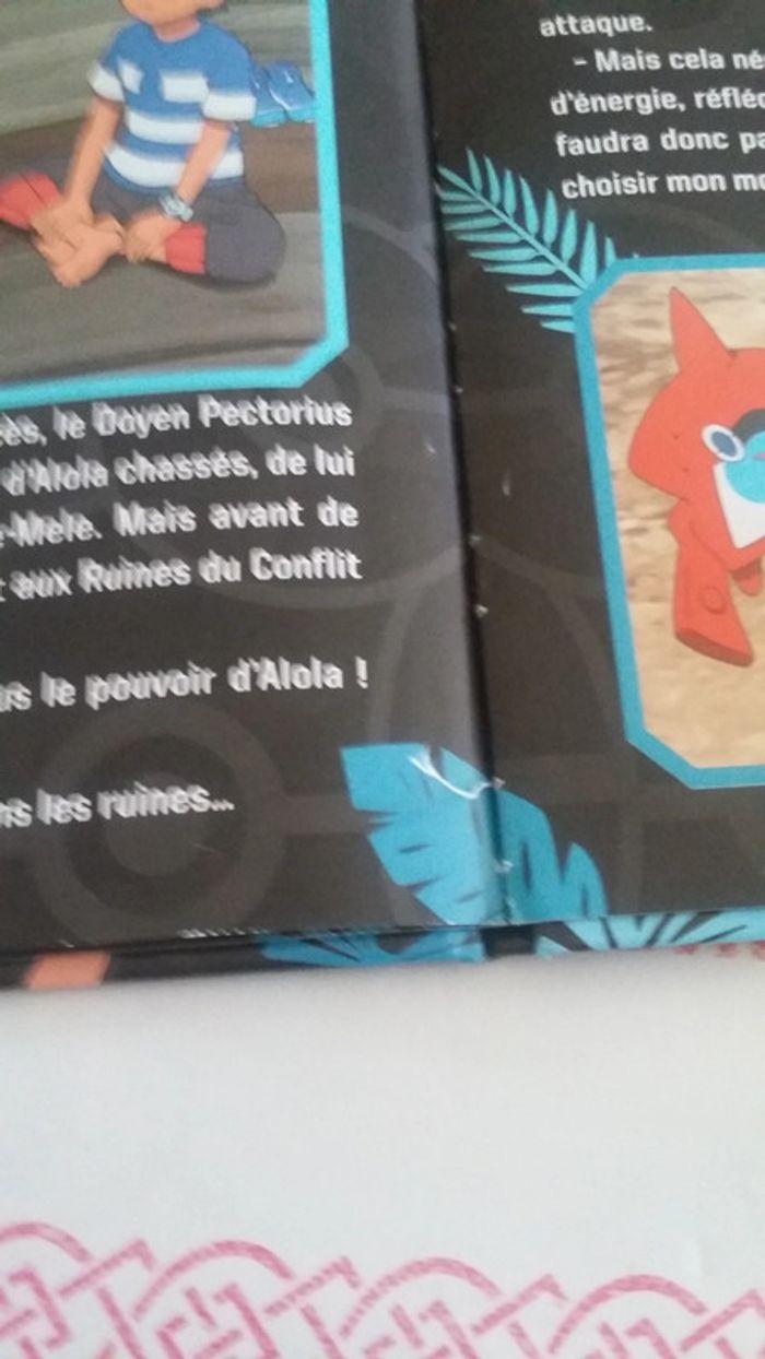 Livre pokemon - photo numéro 4