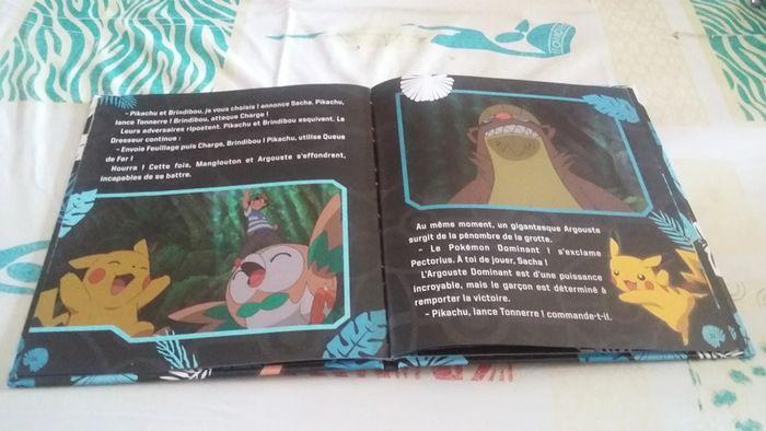 Livre pokemon - photo numéro 3