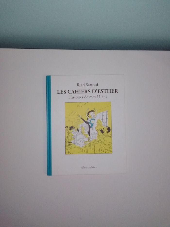 Lots "Les cahiers d'Esther" - photo numéro 5