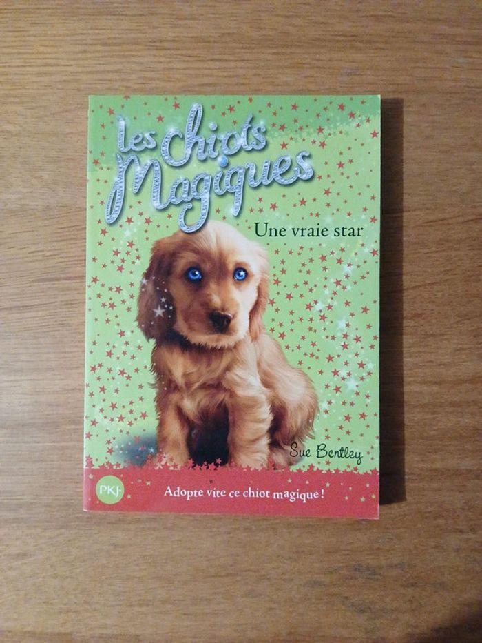 Lot les chiots magiques - photo numéro 9