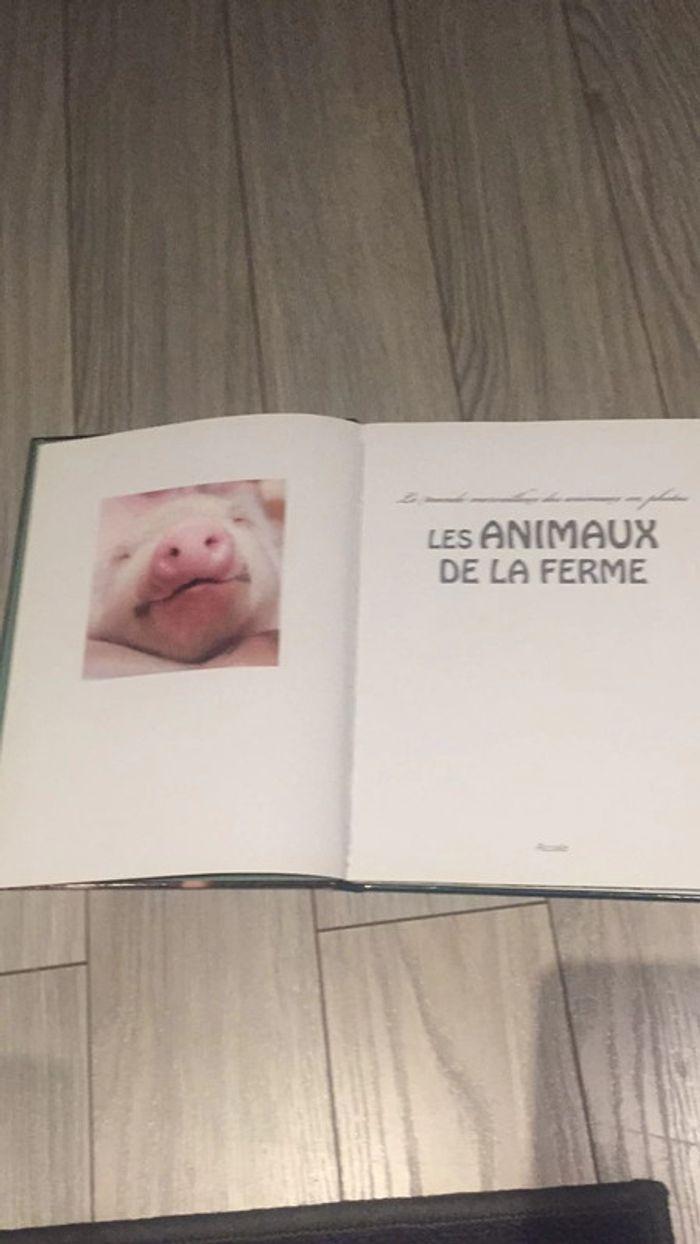 Les animaux de la ferme - photo numéro 2