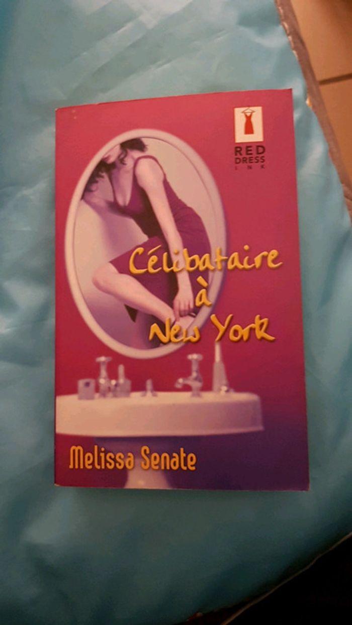 Celibataire a New york - photo numéro 1