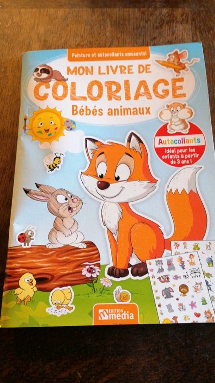 Livre de coloriages - photo numéro 1