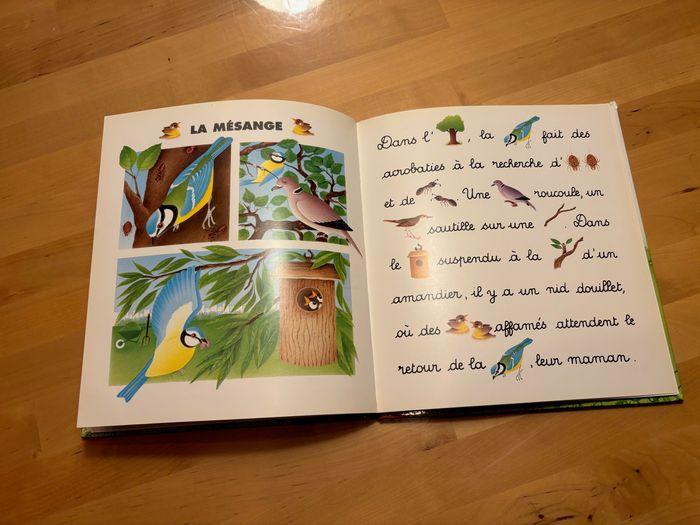 Livre enfant - Je lis avec les animaux du jardin - photo numéro 7