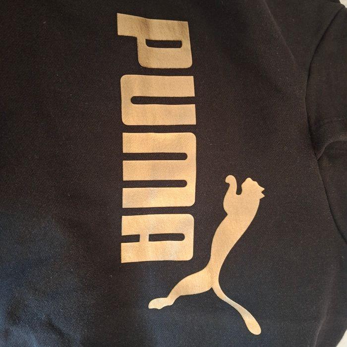 Pull puma - photo numéro 2