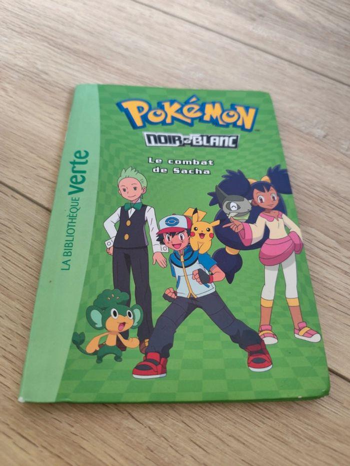 Pokémon le combat de Sacha - photo numéro 1