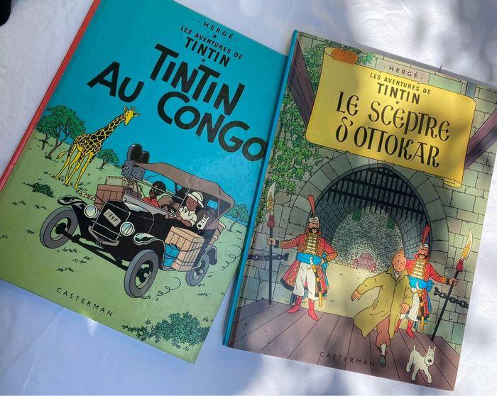 Lot de 2 bandes dessinées Tintin - photo numéro 1