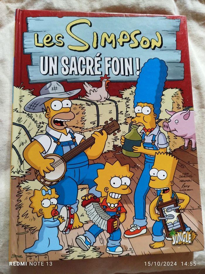 BD Les Simpson un sacré foin - photo numéro 1