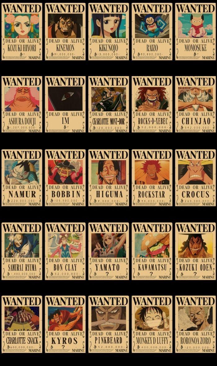 Poster wanted one piece - photo numéro 6