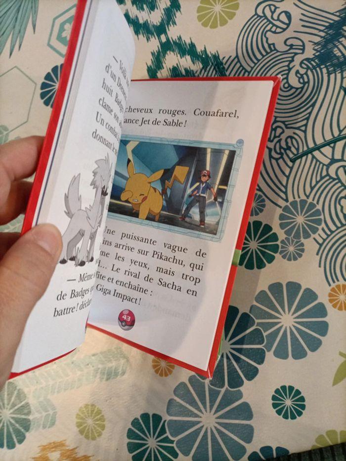 Lot livres pokemon - photo numéro 3