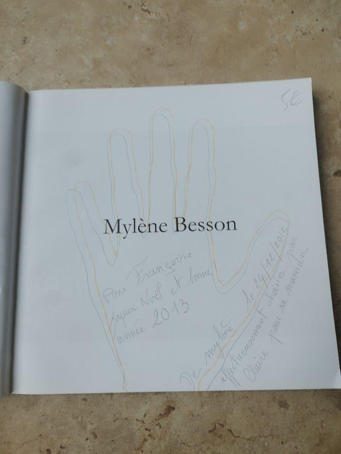 Livre de la peintre Mylène Besson - peinture fusain dessin - photo numéro 2