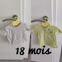 Lot 2 tee-shirts 18 mois kitchoun