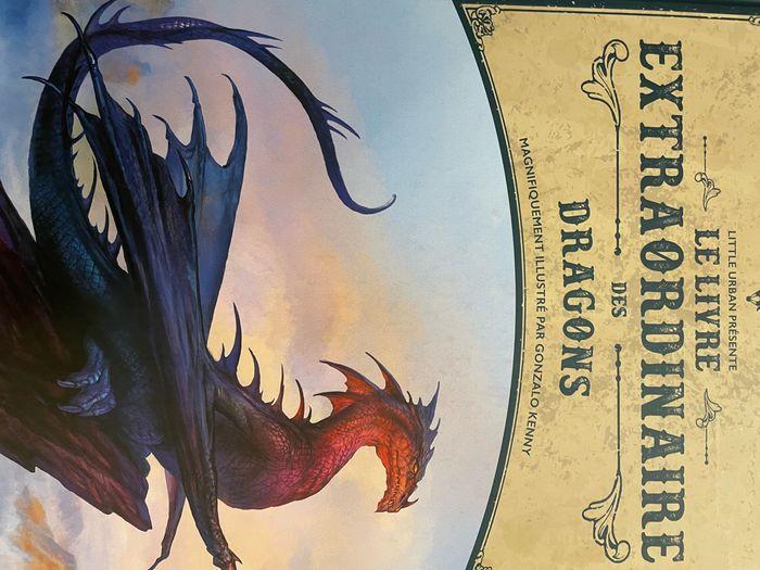 Le livre extraordinaire des dragons