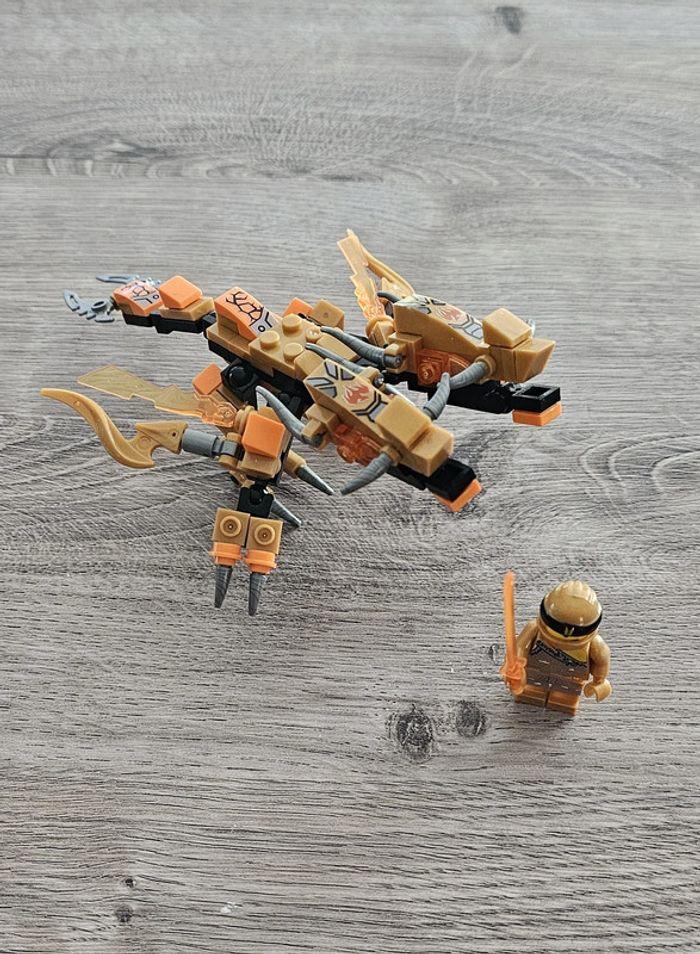 Minifigurine Ninjago : Cole et son dragon à double tête (compatible Lego)