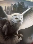 Plaque métal  hibou Edwige de Harry Potter