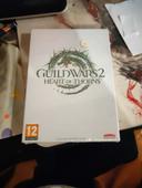 Jeu pc guild wars2