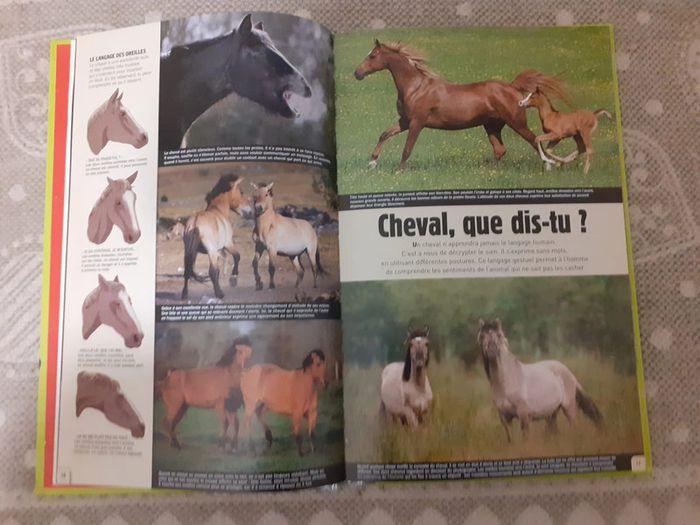 le cheval animal de reves - photo numéro 3