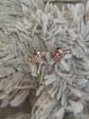 Boucles d'oreilles papillons